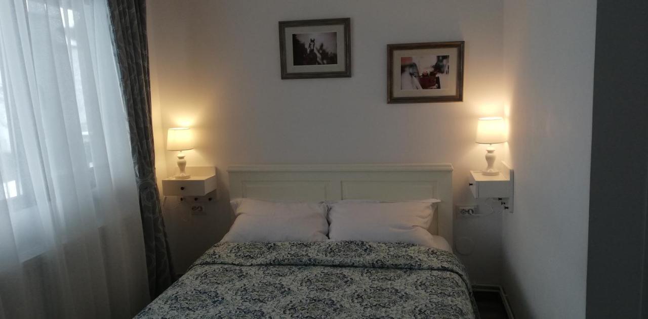 Vila Chic M Hotel Moieciu de Jos Bagian luar foto
